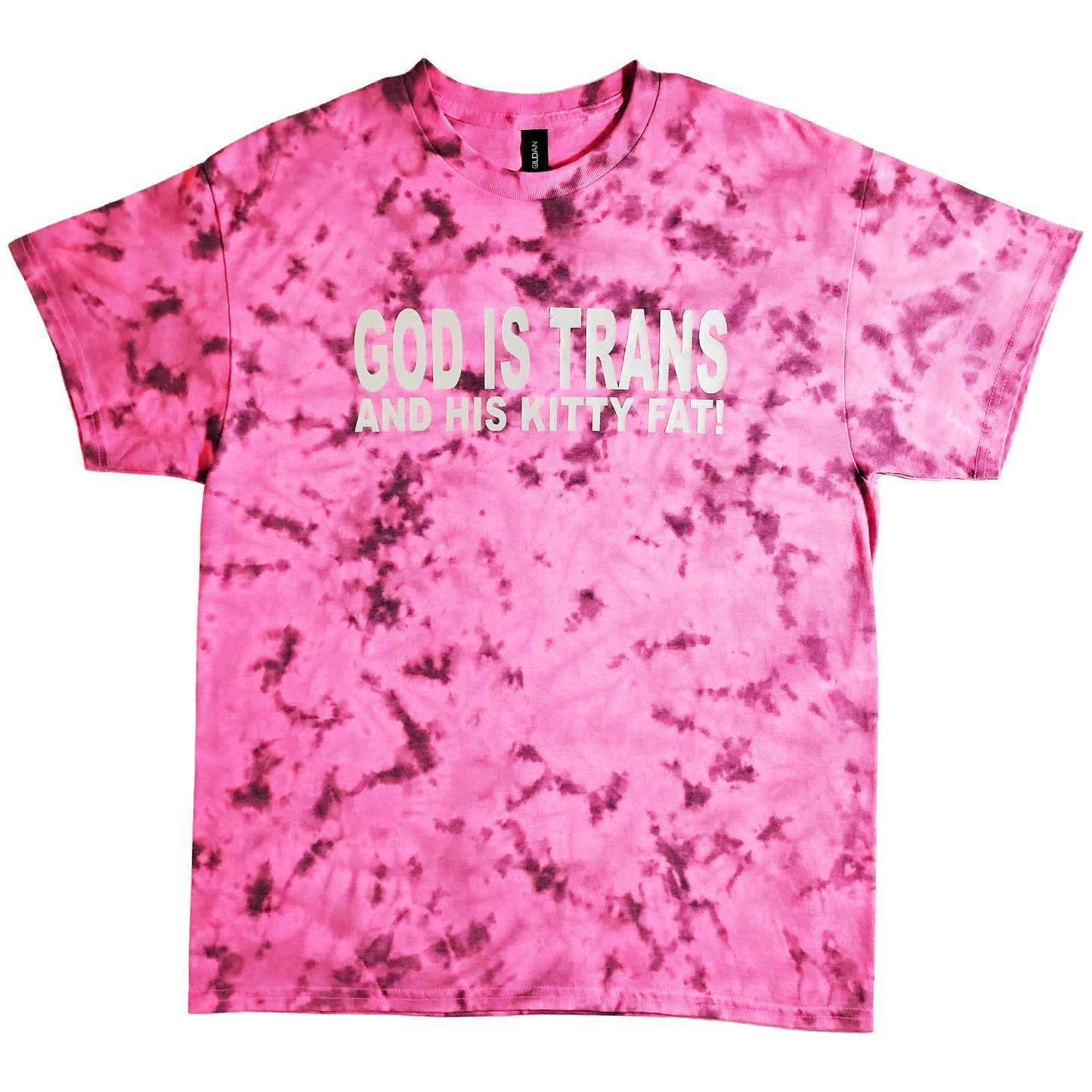 GOD IS TRANS AND HIS KITTY FAT (PINK)