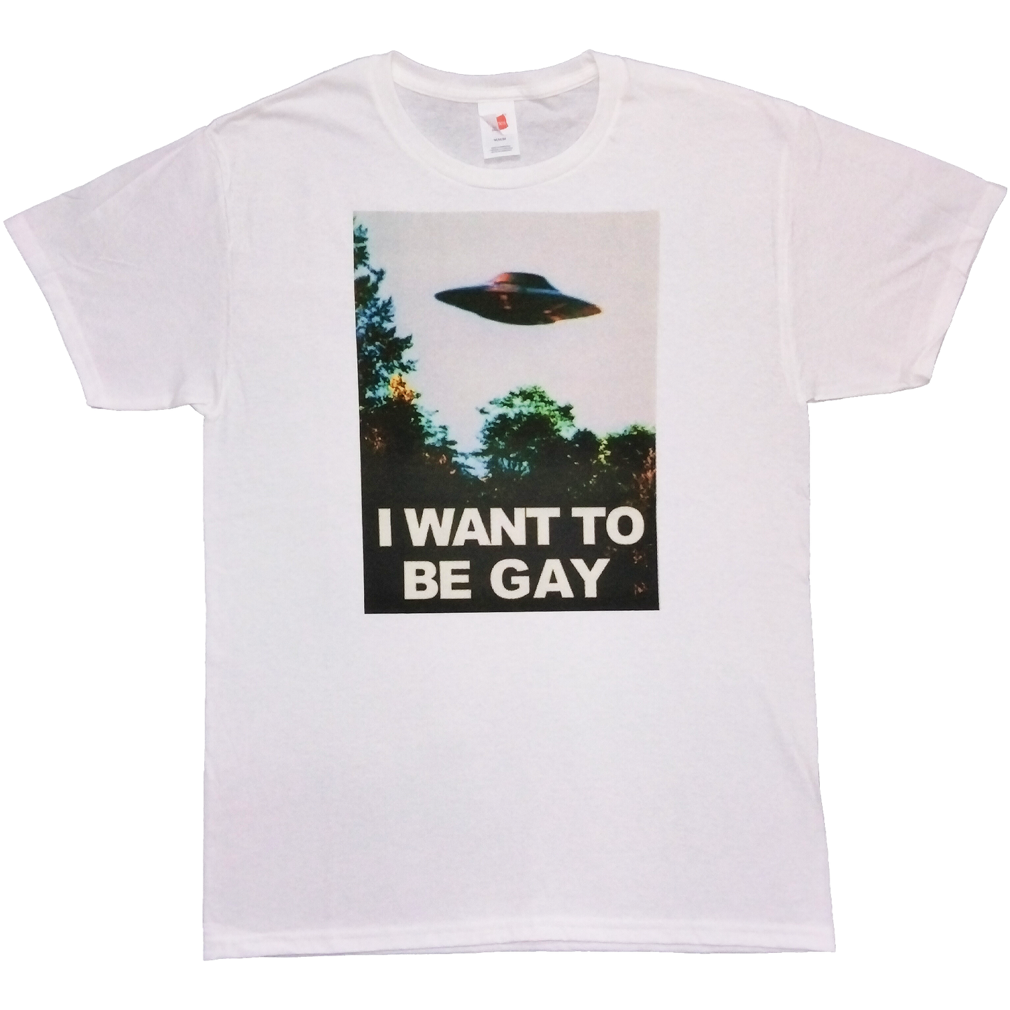 I WANT TO BE GAY