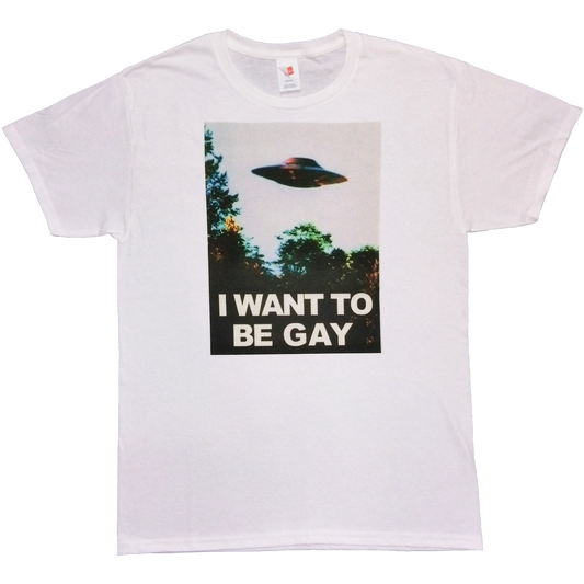 I WANT TO BE GAY