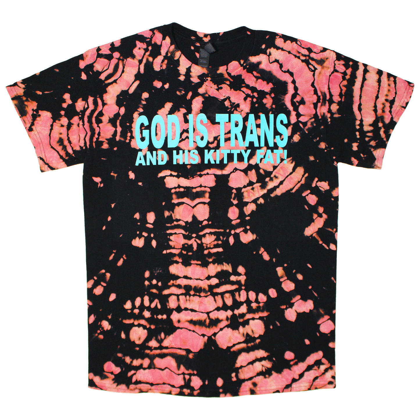 GOD IS TRANS AND HIS KITTY FAT!