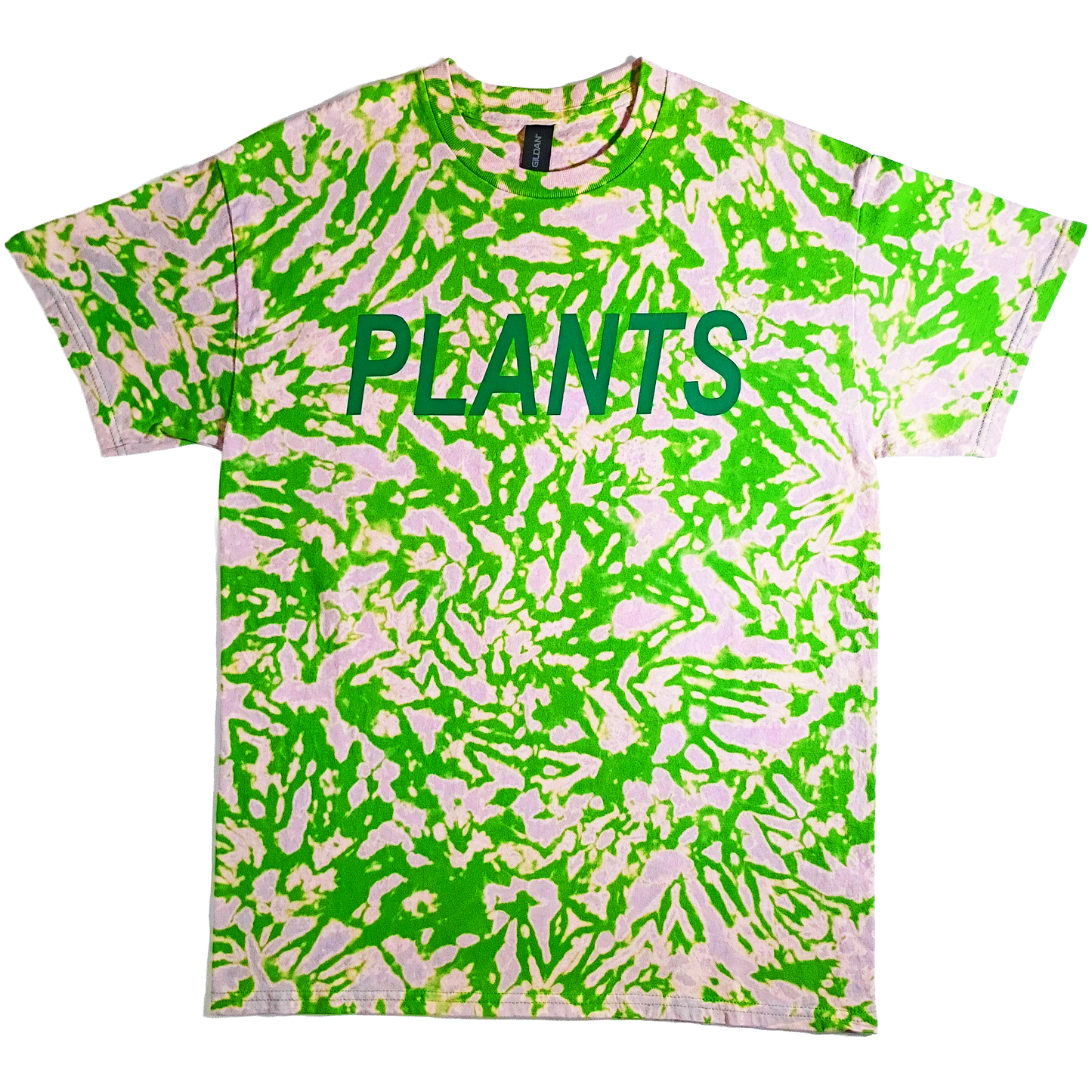 PLANTS